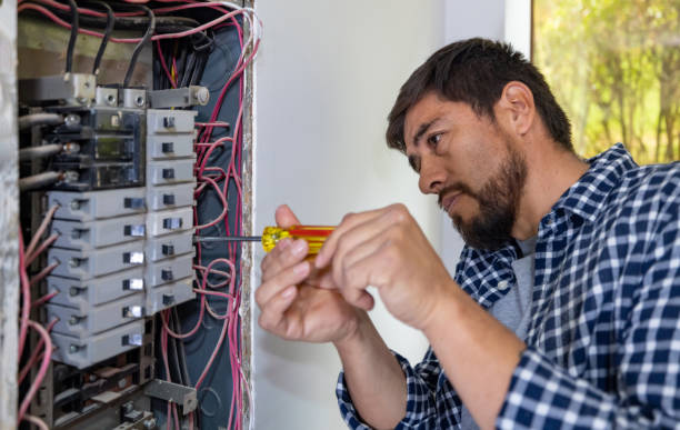 Best Electric Panel Repair  in Galena Park, TX